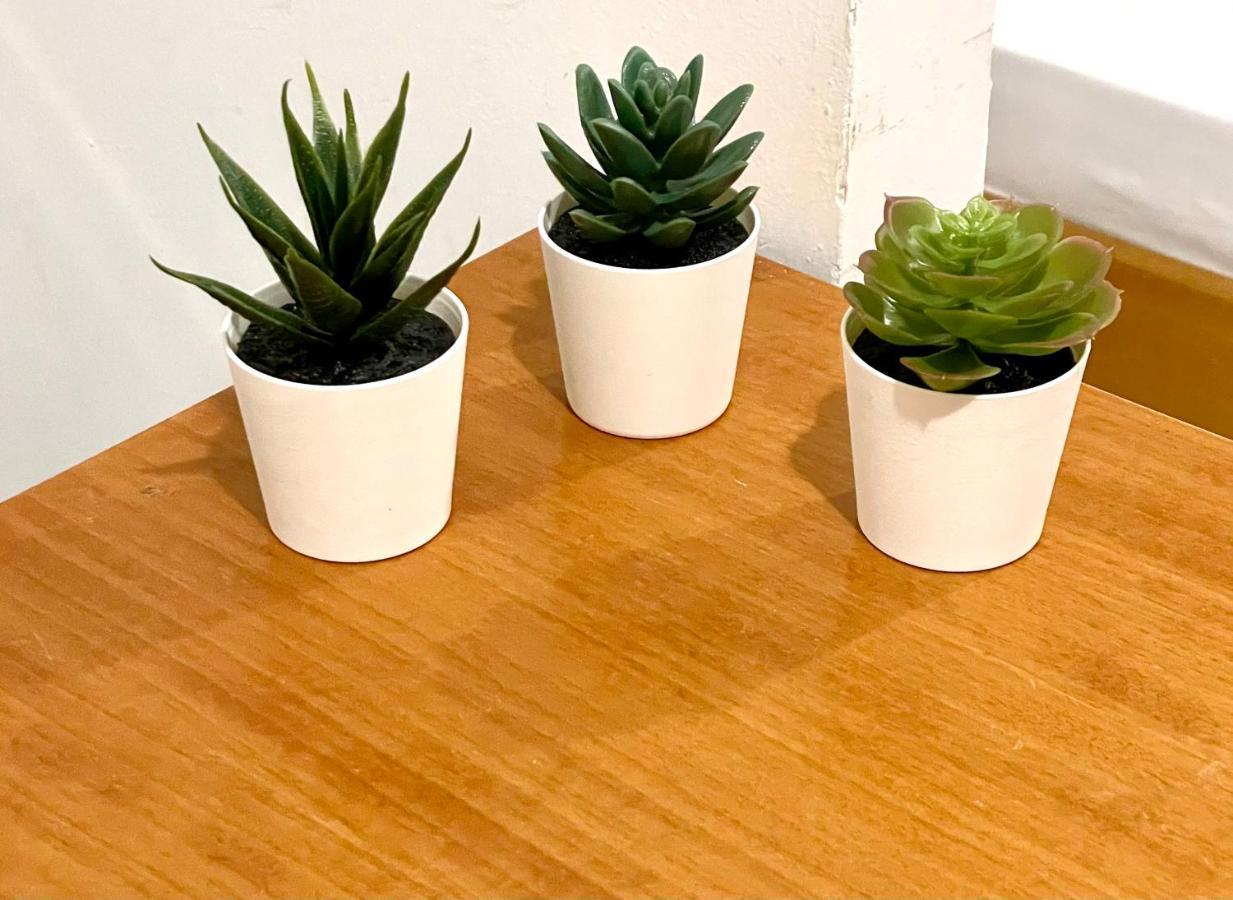 Aleka Kotsi Appartement Igoumenítsa